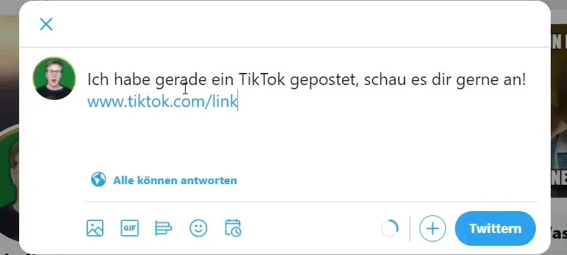 TikTok-Marketing-Tutorial: 12.6 | TikTok-Profil bewerben: Twitter