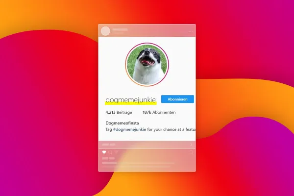 Instagram-Marketing: 20.2 | Nische und Namen wählen