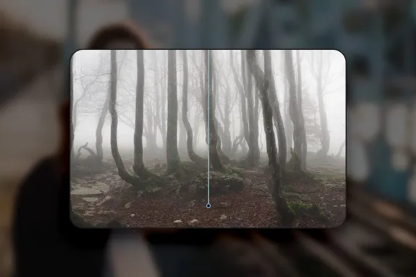 Affinity Photo (Best-of-Hacks): 10 | Mystischer Wald-Effekt mit nur wenigen Klicks