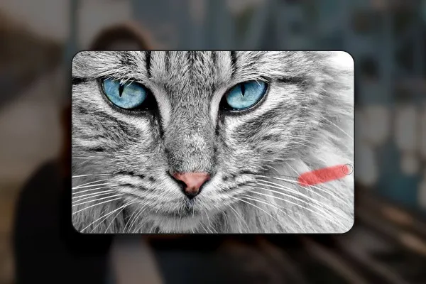 Affinity Photo (Best-of-Hacks): 15 | Wasserzeichen entfernen auf 2 Wegen (mit Ein-Klick-Lösung dank KI)