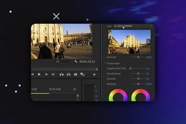 Premiere Pro-Tutorial: 3.3 | Basic Farbbearbeitung und Einstellungsebene