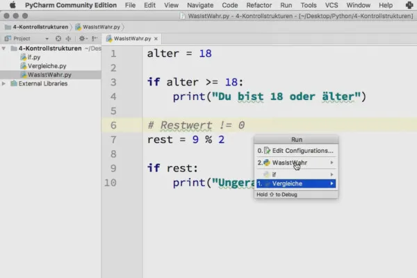 Programmieren mit Python – 4.3 Ist das wirklich wahr?