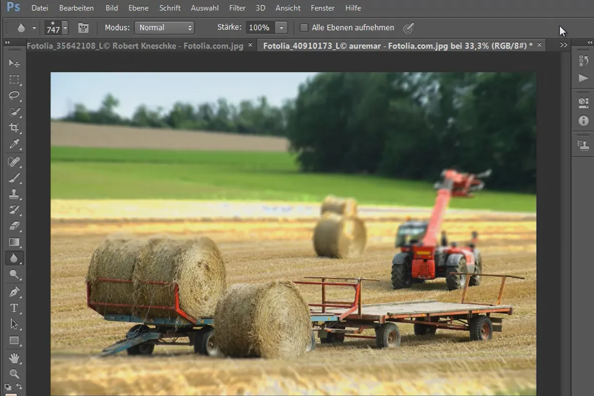 Neue Funktionen in Photoshop CS6: Weichzeichnungsfilter