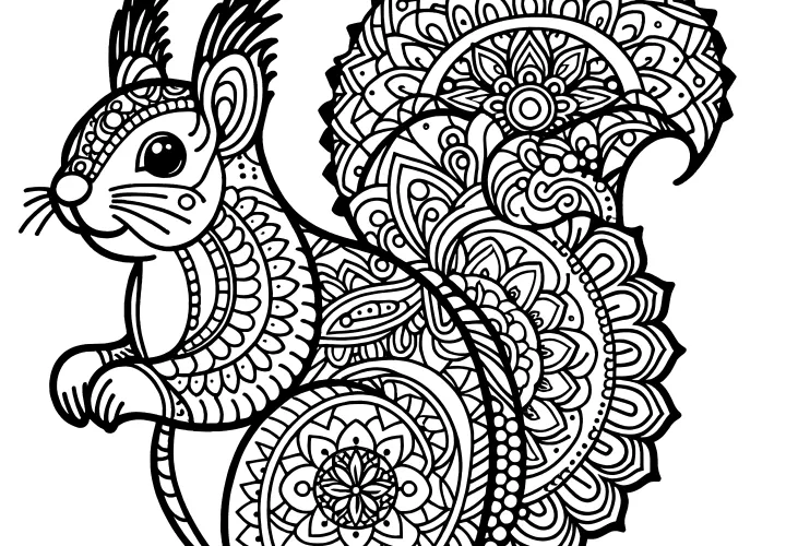 Eichhörnchen-Mandala zum Ausmalen (kostenlos)