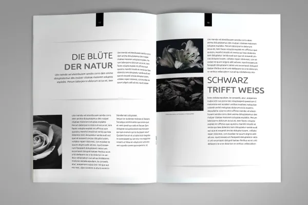Beispiel für Einsatz von Schluss- und Trennlinien in Broschüre