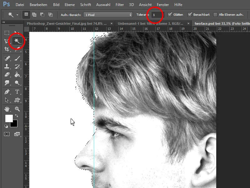 Der Zwei-Gesichter-Effekt in Photoshop