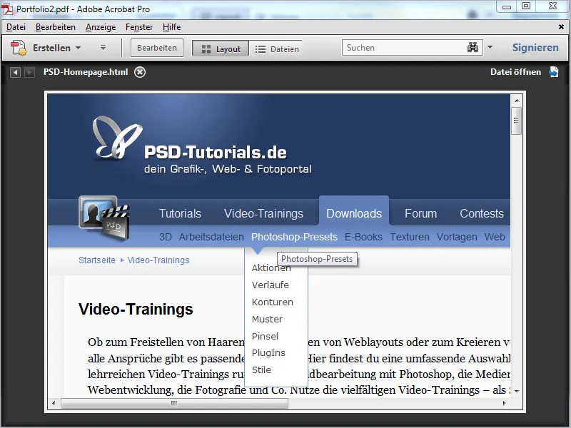 PDF-Portfolios mit Acrobat - Teil 2