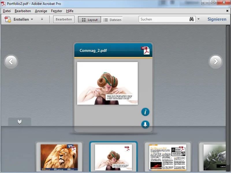 PDF-Portfolios mit Acrobat - Teil 2