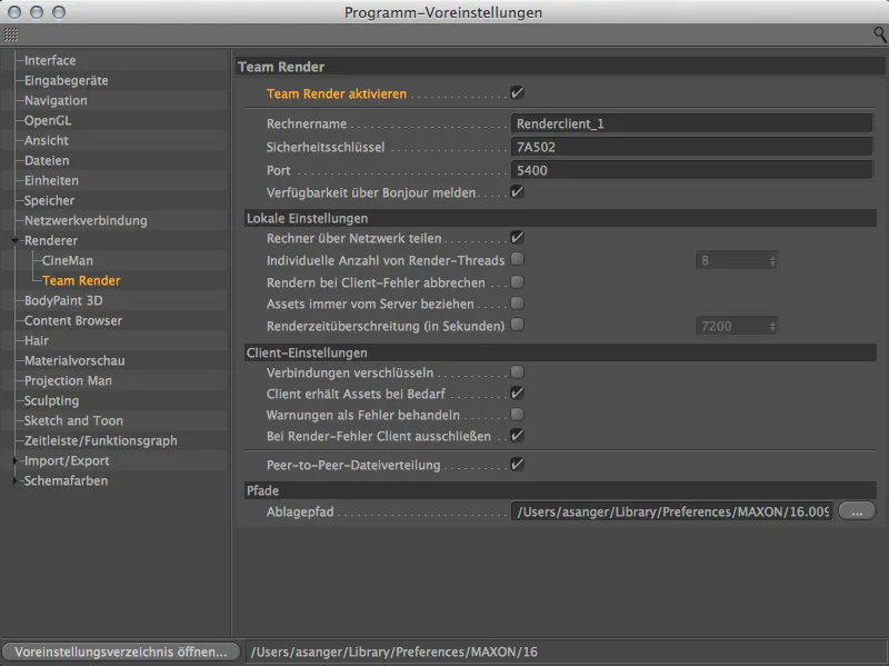 Neu in Release 16 - Team Render Server