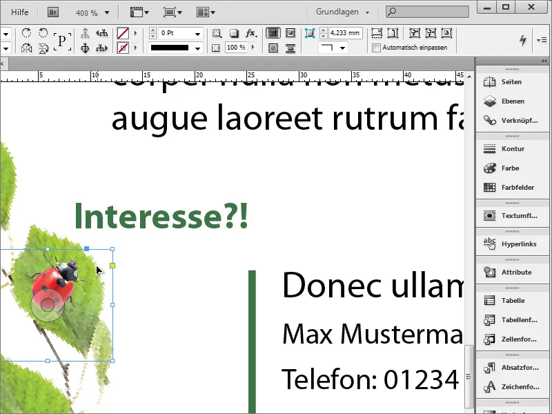 Stellenanzeige in Adobe InDesign gestalten