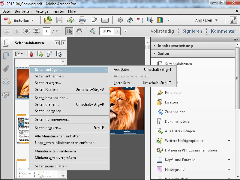 Seiten bearbeiten mit Acrobat Seiten bearbeiten mit Acrobat