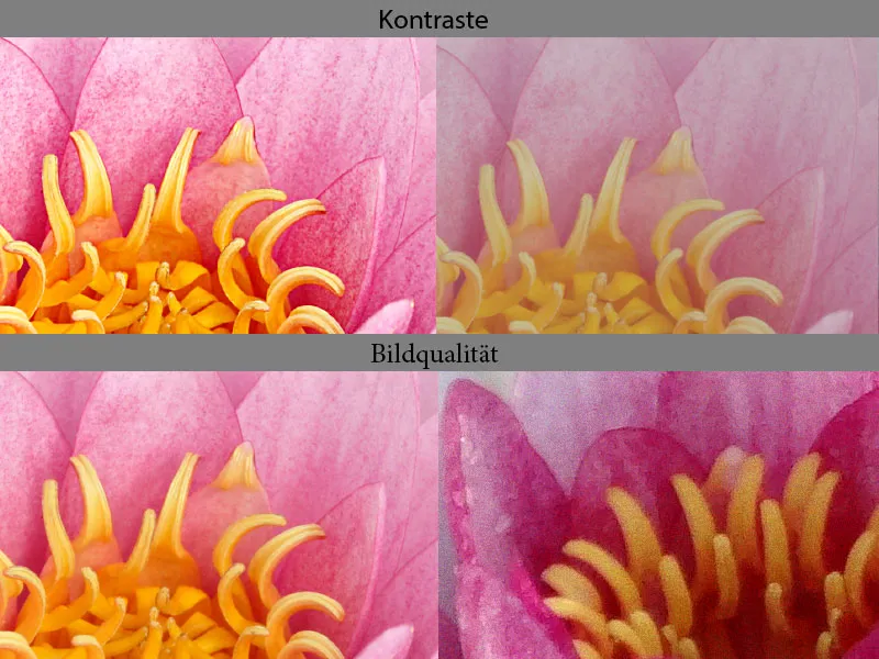 Werbeplakat Lotus Tea - Teil 01 - Ideenfindung