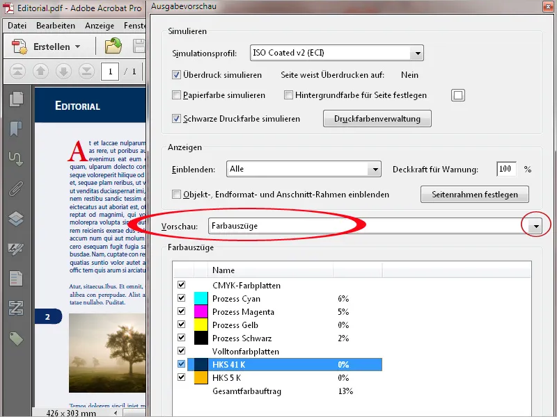 Die Werkzeuge der Druckproduktion in Acrobat