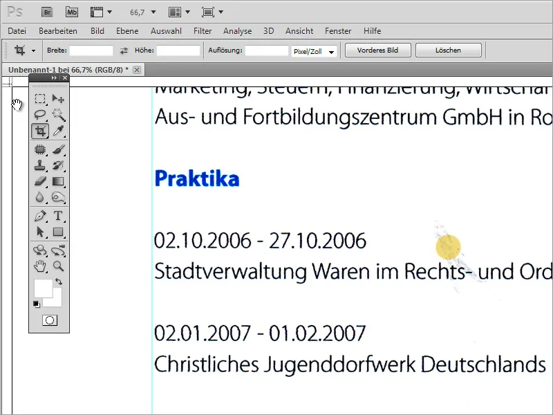 Professionelles Bewerbungsdesign gestalten: der minimalistische Stil