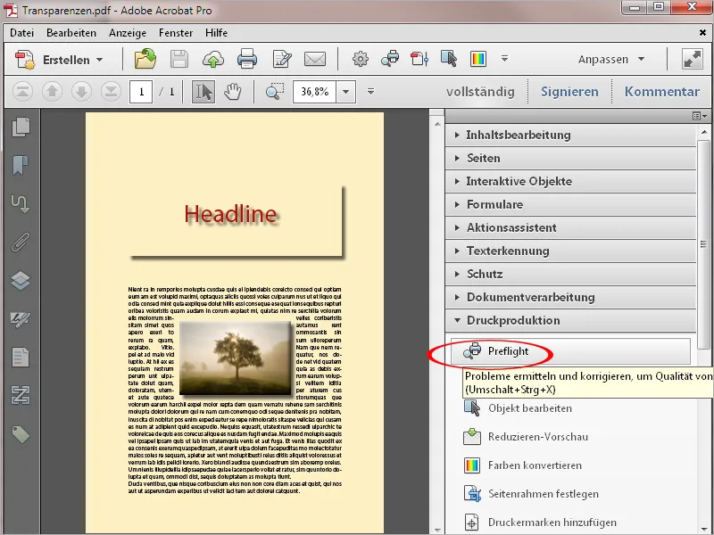 Preflight-Profile in Acrobat - Überblick