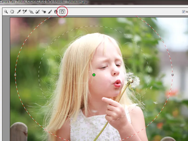 Neues in der Creative Cloud: Photoshop CC 14 (Juni 2013) – 05 Camera Raw 8
