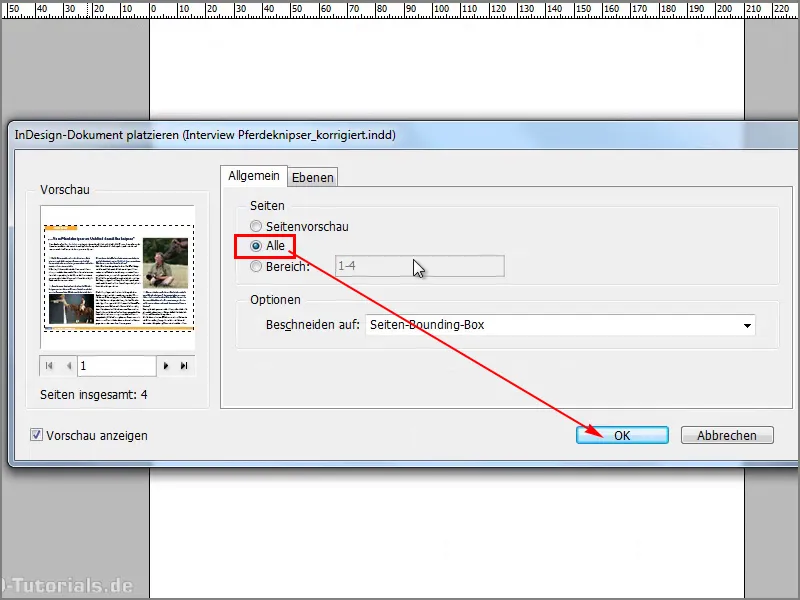 Tipps &amp; Tricks zu Adobe InDesign: Mehrere Seiten einer PDF-Datei bzw. InDesign-Datei als Kontaktabzug platzieren