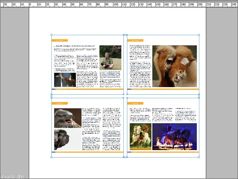 Tipps &amp; Tricks zu Adobe InDesign: Mehrere Seiten einer PDF-Datei bzw. InDesign-Datei als Kontaktabzug platzieren