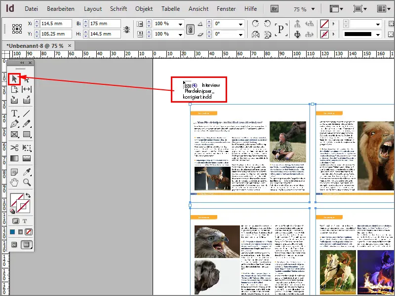 Tipps &amp; Tricks zu Adobe InDesign: Mehrere Seiten einer PDF-Datei bzw. InDesign-Datei als Kontaktabzug platzieren