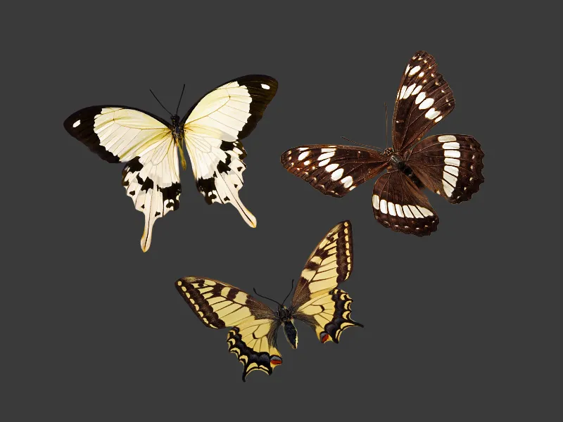 Photoshop-Filter: Vergröbern und Verzerren
