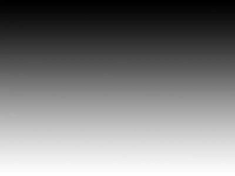 Photoshop-Filter: Vergröbern und Verzerren