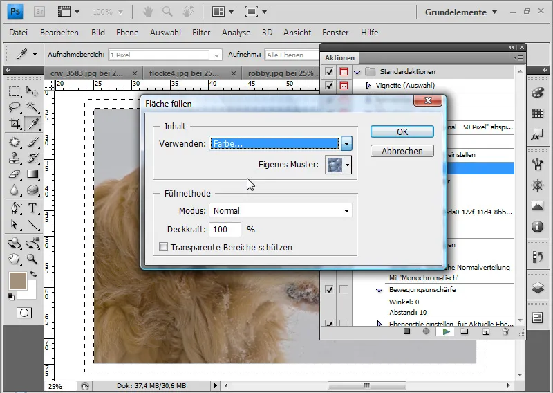 Aktionen in Photoshop verwenden