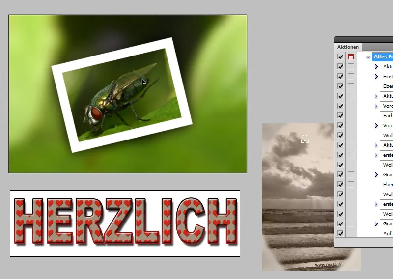 Aktionen in Photoshop verwenden