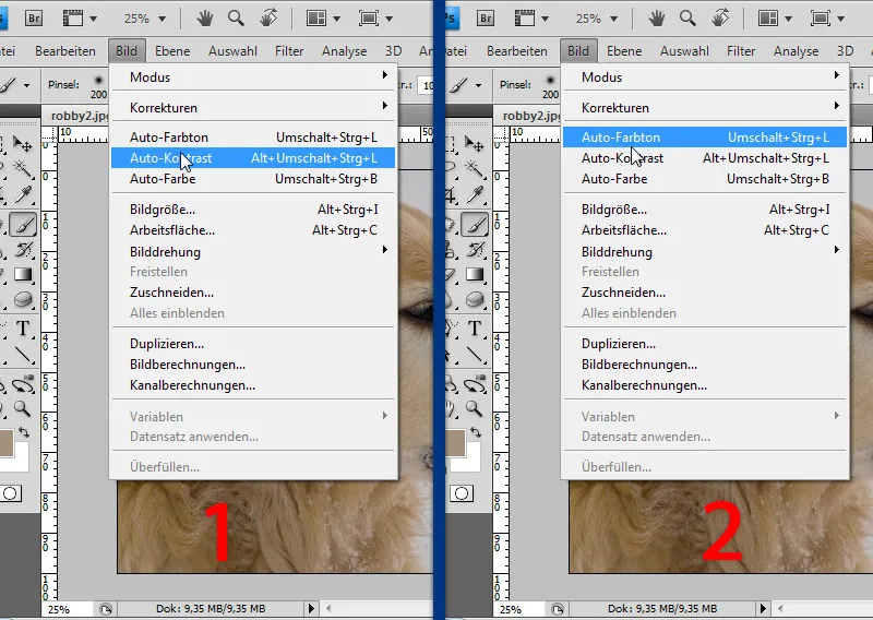 Aktionen in Photoshop aufnehmen