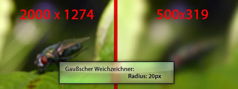 Aktionen in Photoshop aufnehmen